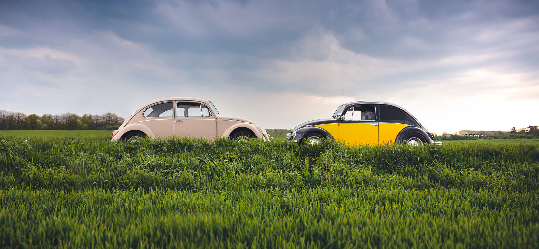  Contenus didactiques et d’actualité dédiés à la gestion financière