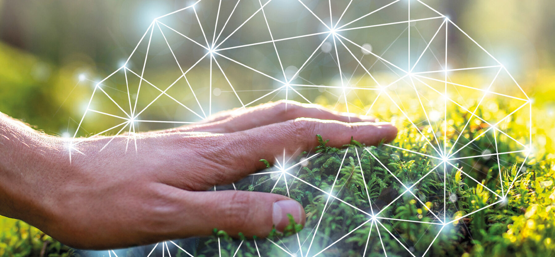 Dispositif IBM Consulting - Thought leadership 