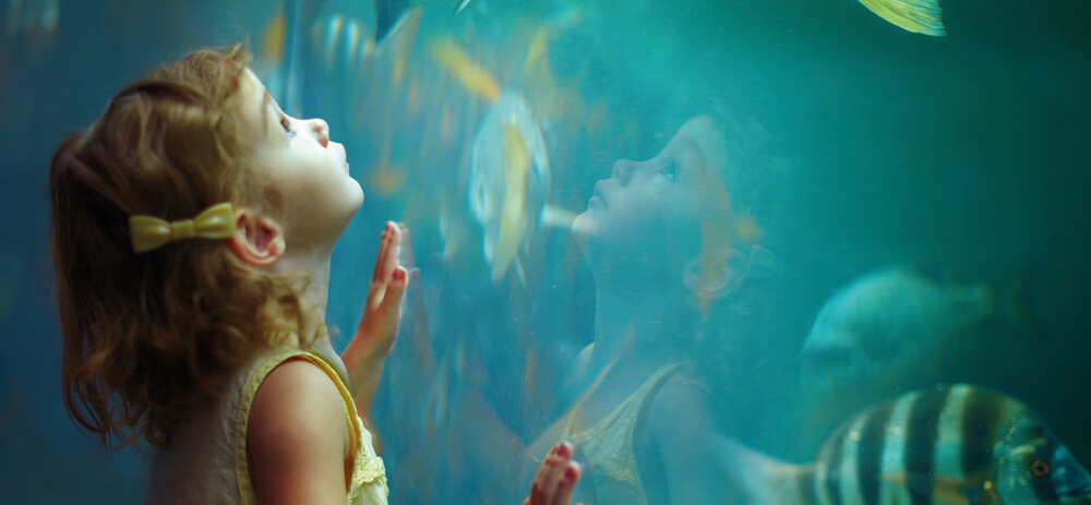 Thought leadership content, plus qu'incarner: inspirer