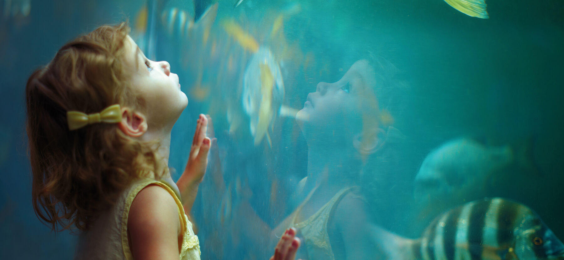 Thought leadership content, plus qu'incarner: inspirer